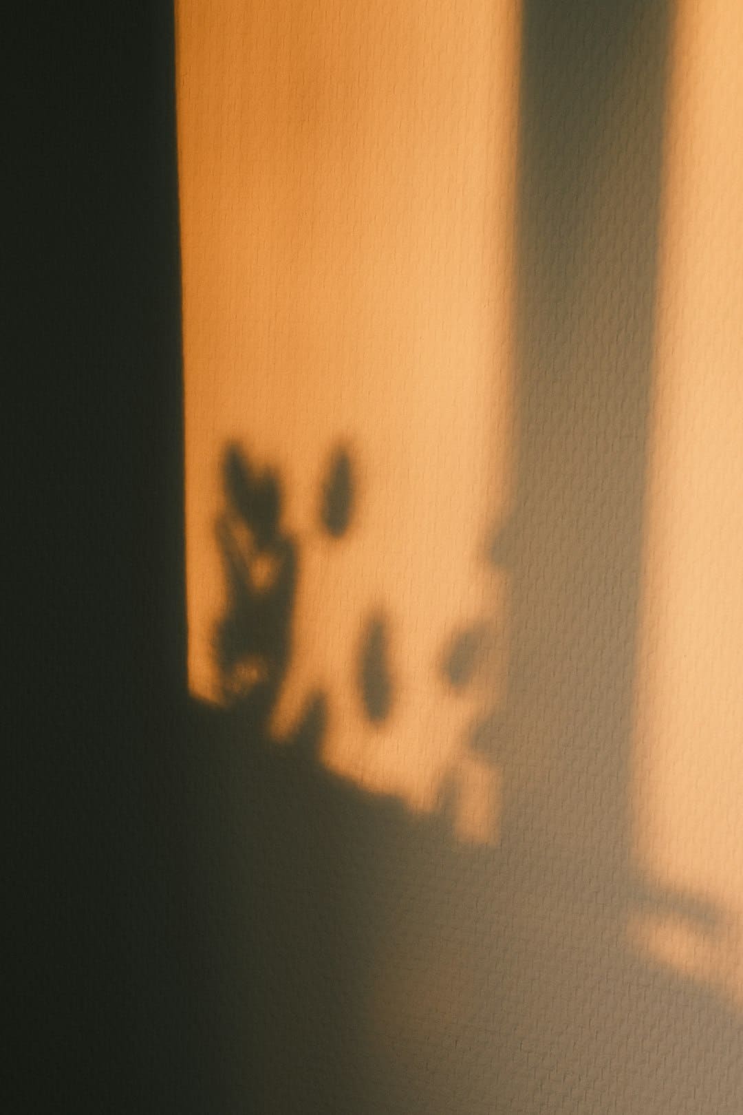 《归队》福庆角色介绍